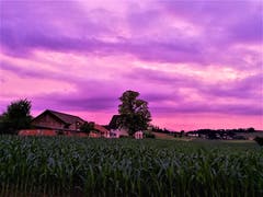 Traumhaftes Abendviolett am Himmel über Buttisholz. (Bild: Urs Gutfleisch, 2. Juli 2019)