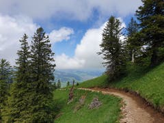 Vom Hohen Kasten geht es über einen Höhenweg zur Stauberen.