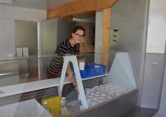 Eliane Tschumper kommt in den Sommerferien auf die Alp. (Bild: Christian Tschümperlin, Sittlisalp, 23. Juli 2019)