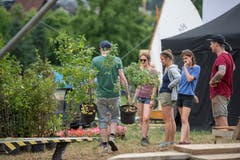 Impressionen der Aufbauarbeiten des Waldstock Open Air Spektakels. (Bild: Maria Schmid, Steinhausen, 26. Juli 2019)
