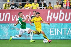 (Bild: Ralph Ribi)