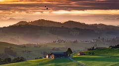 Früh aufstehen und Licht fangen in Herisau. (Bild: Luciano Pau)