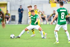 (Bild: Ralph Ribi)