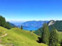 Wunderbare Aussicht auf den Vierwaldstättersee, aufgenommen auf der Wanderung im Gebiet Bärenfallen oberhalb Niederrickenbach. (Bild: Urs Gutfleisch, 30. Juli 2019)