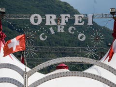 Beim Training mit Tigern des italienischen Zirkus Orfei ist der bekannte Dompteur Ettore Weber von den Raubkatzen angefallen und tödlich verletzt worden. (Bild: KEYSTONE/TI-PRESS/ALESSANDRO CRINARI)