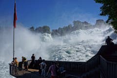 Abkühlung gefällig? Am Rheinfall in Schaffhausen. (Bild: Toni Sieber)