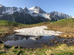 Auf der Wanderung Golzern, Stäfelalp, Tritt, musste der Fotograf kurz innehalten und den Oberalpstock im Spiegelbild des Schmelzwassers der letzten Schneefelder zu knipsen. Diese Möglichkeit bietet sich nur selten. Rasch ist der Winter besiegt und überlässt dem Frühling das Feld. (Bild: Peter Arnold, 27. Juni)