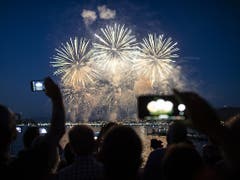 Besucher bestaunen das Feuerwerk vom Ufer des Zürichsees aus. (Bild: KEYSTONE/ENNIO LEANZA)