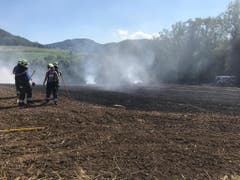 Letzte Rauchschwaden ziehen über das Feld, nachdem die Feuerwehr den Brand gelöscht hat. (Bild: Polizei Basel-Landschaft)