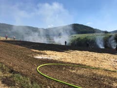 Die Feuerwehr konnte das Feuer rasch löschen, trotzdem brannte ein Hektar Land ab. (Bild: Polizei Basel-Landschaft)