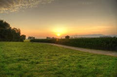 Sonnenaufgang im Rheindelta. (Bild: Toni Sieber)