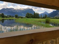 Abendstimmung am Urnersee: Der idyllisch gelegene Aussichtspunkt mit der schön gestalteten Flechtarbeit im Naturschutzgebiet in Seedorf bietet eine wunderschöne Aussicht auf den Bälmeten, Schwarzgrat und Bristen. (Bild: Brigitte Furger, 6. Juli)