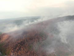 In der auch für das Weltklima wichtigen Taiga wüten die schlimmsten Bränden seit Jahren. (Bild: KEYSTONE/AP RU-RTR Russian Television)