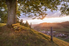 Das Bänkli auf dem Chüeberg. (Bild: Priska Ziswiler-Heller, Gettnau, 31. Juli 2019)