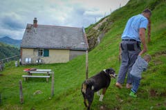 Vater und Sohn mit Hund Bärli unterwegs zu den Kühen.