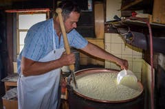 Die Milch hat sich geteilt, bald kann die krümelige Masse in die Formen geschöpft werden.