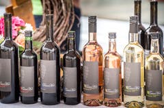 Eindrücke vom Winzerfest in der Frauenfelder Altstadt. (Bilder: Andrea Stalder)
