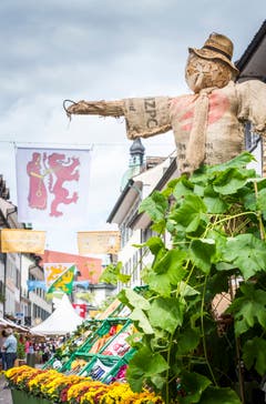 Eindrücke vom Winzerfest in der Frauenfelder Altstadt. (Bilder: Andrea Stalder)