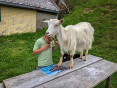 Auch die Geiss möchte wissen, was Martin jun. liest.