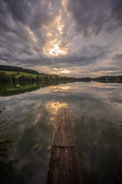 Wenn sich die Sonne nicht zeigen will. (Bild: René Burch, Buttisholz, 9. August 2019)