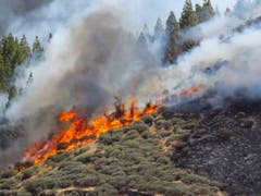 Ein Waldbrand wütet auf der spanischen Insel Gran Canaria, hier in der Nähe der Ortschaft Artenara. (Bild: KEYSTONE/EPA EFE/ELVIRA URQUIJO A.)