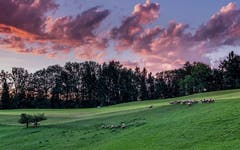Abendstimmung bei Oberbüren. (Bild: Luciano Pau)