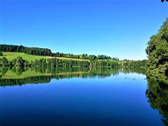 Idyllische Morgenstimmung am Soppensee. (Bild: Urs Gutfleisch, Buttisholz, 11. August 2019)