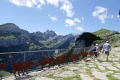 Bestes Wanderwetter auf der Ebenalp AI. (Bild: Doris Sieber)