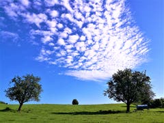 Wunderbare Schäfchenwolken am Himmel. (Bild: Urs Gutfleisch, Buttisholz, 11. August 2019)