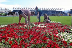 Sie pflanzen Blumen auf dem heiligen Rasen. (Bild: Andy Mettler / Swiss-Image)