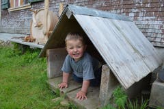 Der zweijährige Valentin im Hundehaus.