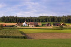Hochsommerabend. (Bild: Priska Ziswiler-Heller, Grosswangen, 11. August 2019)