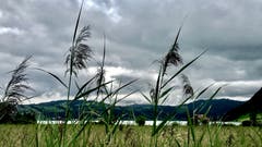 Dunkle Wolken über dem Ägerisee. (Bild: Peter Bumbacher, Unterägeri, 13. August 2019)