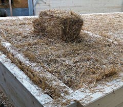 Für die Wandelemente werden in die Rahmen aus Brettschichtholz Kleinballen aus Stroh gepresst. (Bild: PD)