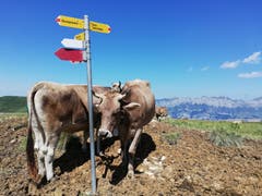 Wo geht es hier ins Tal?. Aufgenommen in Flumserberg. (Bild: Roland Vogt)