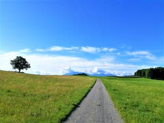 «Der Weg ist das Ziel» dieses Motto gilt heute für alle Spaziergänger und Wanderer bei diesem wunderbaren Sommerwetter. (Bild: Urs Gutfleisch, 14. August 2019, Römerswil)