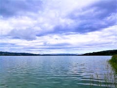 Wolkenverhangener Himmel heute Morgen über dem Sempachersee. (Bild: Urs Gutfleisch, 13. August 2019, Sempach)