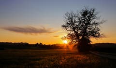 Abendstimmung nach einem wunderschönen August Tag im Schötzermoos. (Bild: André Egli, Schötz, 14. August 2019)