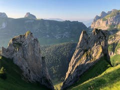 Ausblick von der Bogartenlücke im frühen Morgenlicht. (Bild: Esther Hörnlimann)