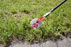 Plastikmüll, soweit das Auge reicht. (Bild: Jessica Nigg)