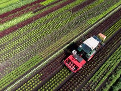 Im Rahmen eines Pilotprojekts wird derzeit ein Pflanzenschutzroboter entwickelt. Im Vergleich zum herkömmlichen Verfahren mit dem Spritzbalken soll der neue Roboter 40-70 Prozent weniger Pflanzenschutzmittel einsetzen und damit auch das Grundwasser entlasten. (Bild: KEYSTONE/ANTHONY ANEX)