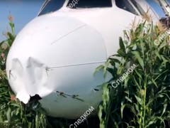 Das im Maisfeld bei Moskau liegende Passagierflugzeug. (Bild: KEYSTONE/EPA RUSSIAN INVESTIGATIVE COMMITTEE HANDOUT)