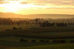 Morgenstund hat Gold im Mund. (Bild: Irene Wanner, Wauwiler Moos, 15. August 2019)