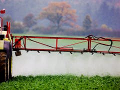 Pestizide und Dünger aus der Landwirtschaft belasten das Grundwasser in der Schweiz. Abbauprodukte finden sich vor allem in Fassungen im Ackerbaugebiet des Mittellandes. (Bild: KEYSTONE/EPA/PATRICK PLEUL)