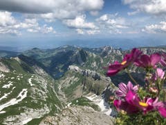 Alter Säntis. (Bild: Romy Büsser)