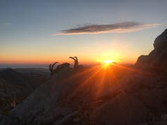 Sonnenaufgang am Rotsteinpass. (Bild: Jasmine Rusch)