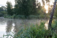 Morgenstille mit Seerauch am Märwiler Weiher. (Bild: Thomas Segenreich)