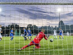 In Basel hat Concordias Goalie Emre Sahin gegen die Luganesi reichlich zu tun (Bild: KEYSTONE/GEORGIOS KEFALAS)