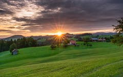 Morgenstimmung bei den Bauern im Hintehof Herisau. (Bild: Luciano Pau)