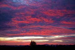 Sonnenaufgang um 6 Uhr auf der Hohen Buche. (Bild: Hans Aeschlimann)